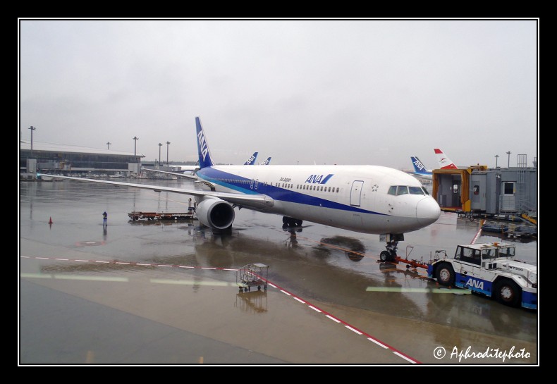ANA - Boeing 777-300 (2)
